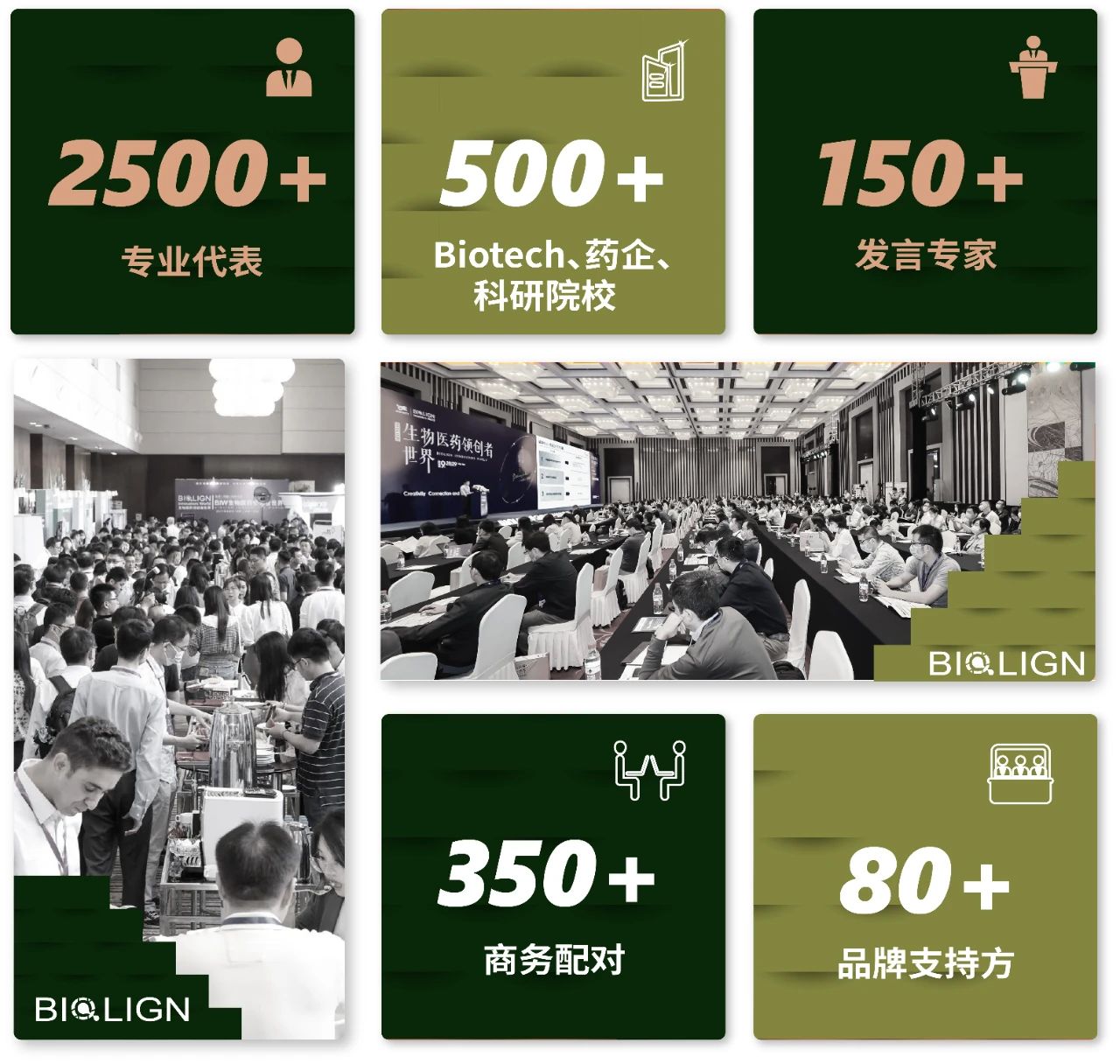 微信图片_20231120165310.jpg